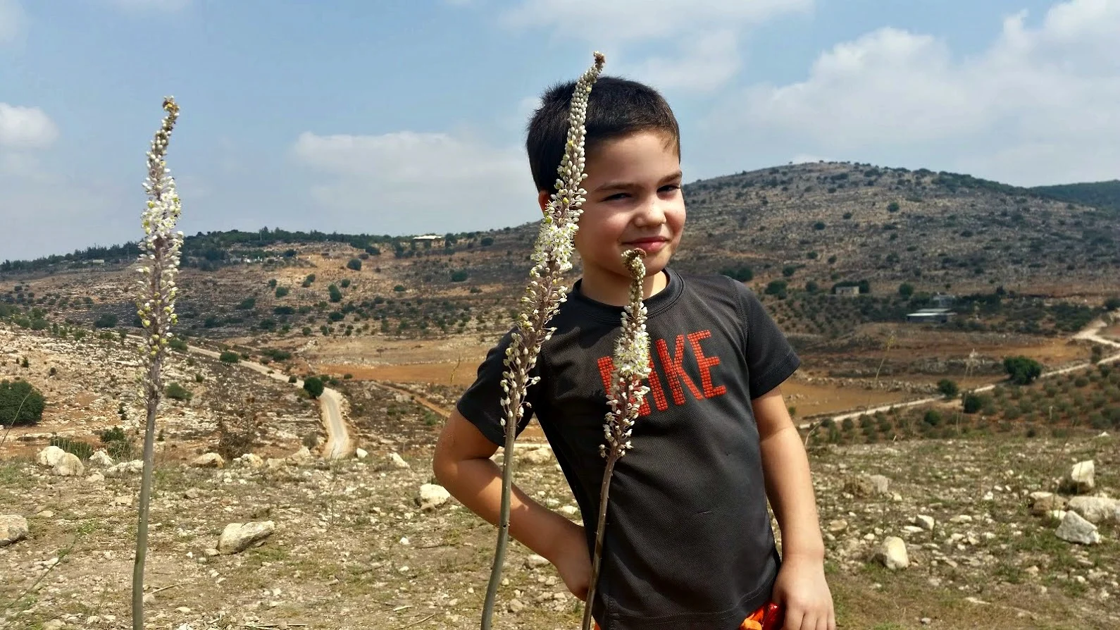 תל ידפת. צילום: עינב לנדאו