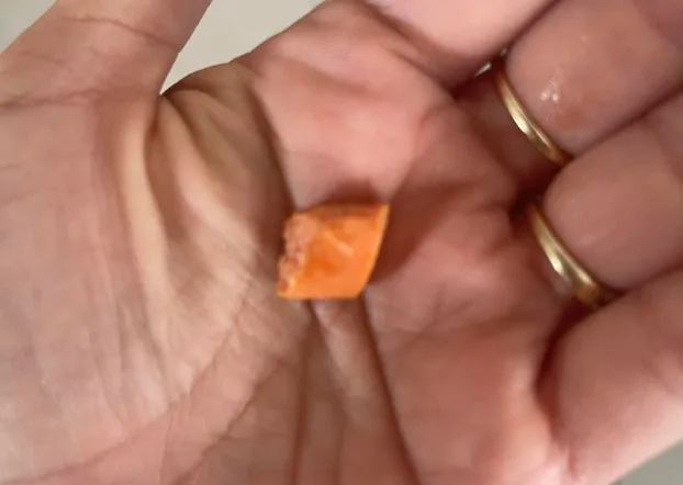 חתיכת הנקניקייה שכמעט והובילה לאסון