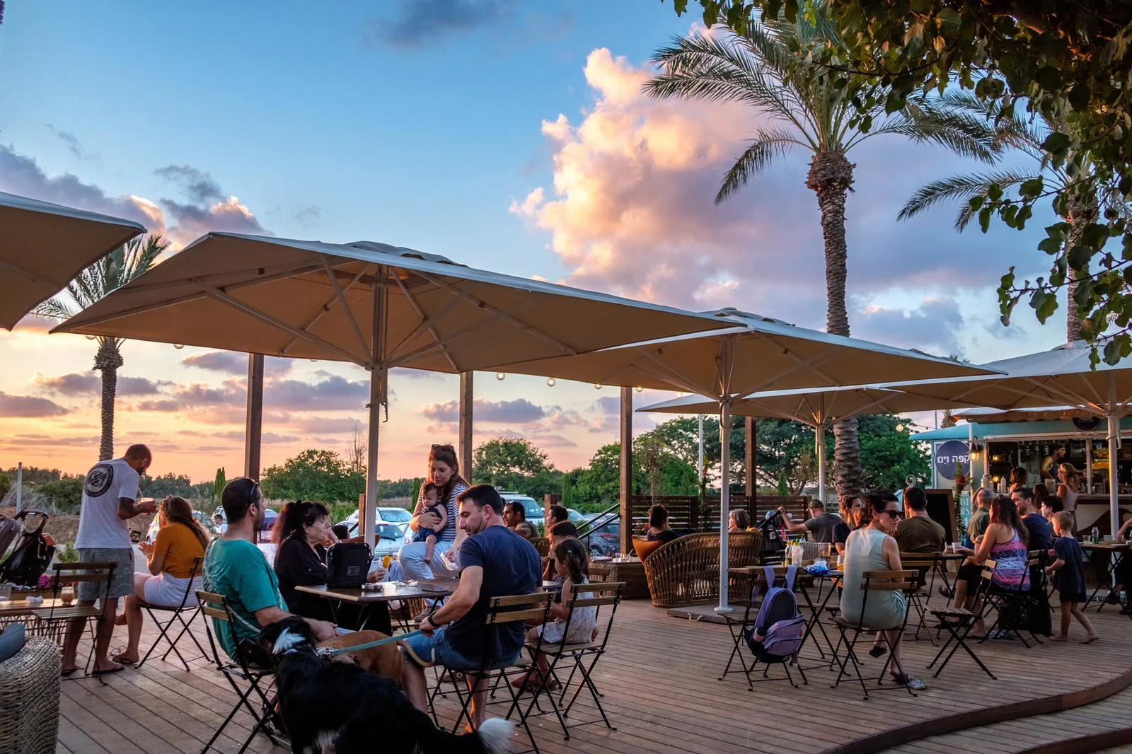 קפה וים שפיים