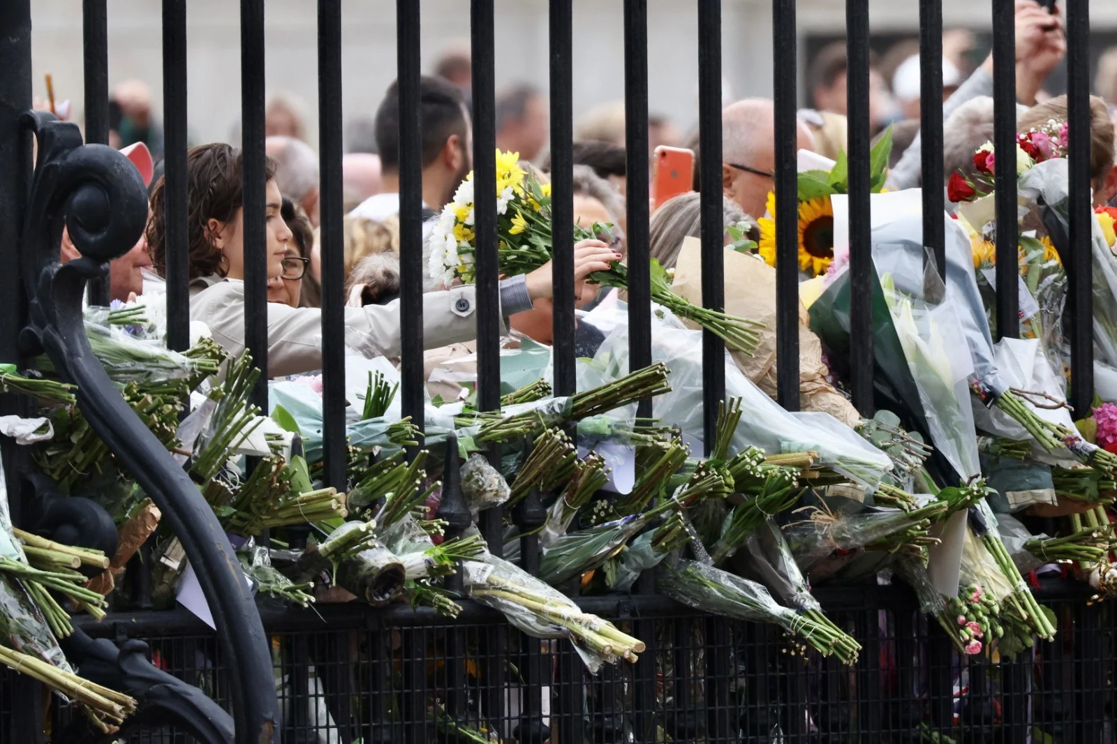 זרי פרחים מחוץ לארמון המלוכה