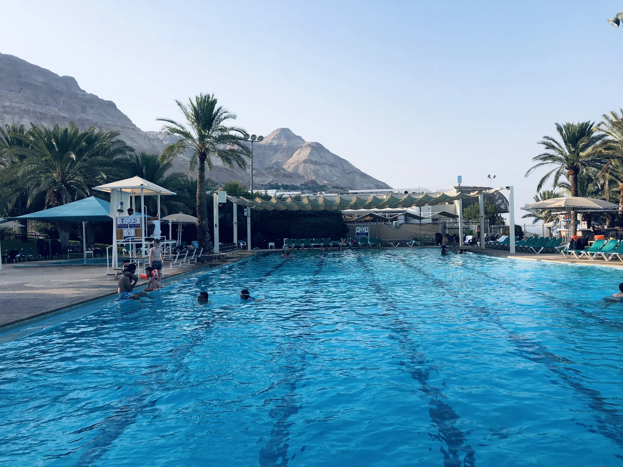 עין גדי. צילום: מלי אברמוביץ