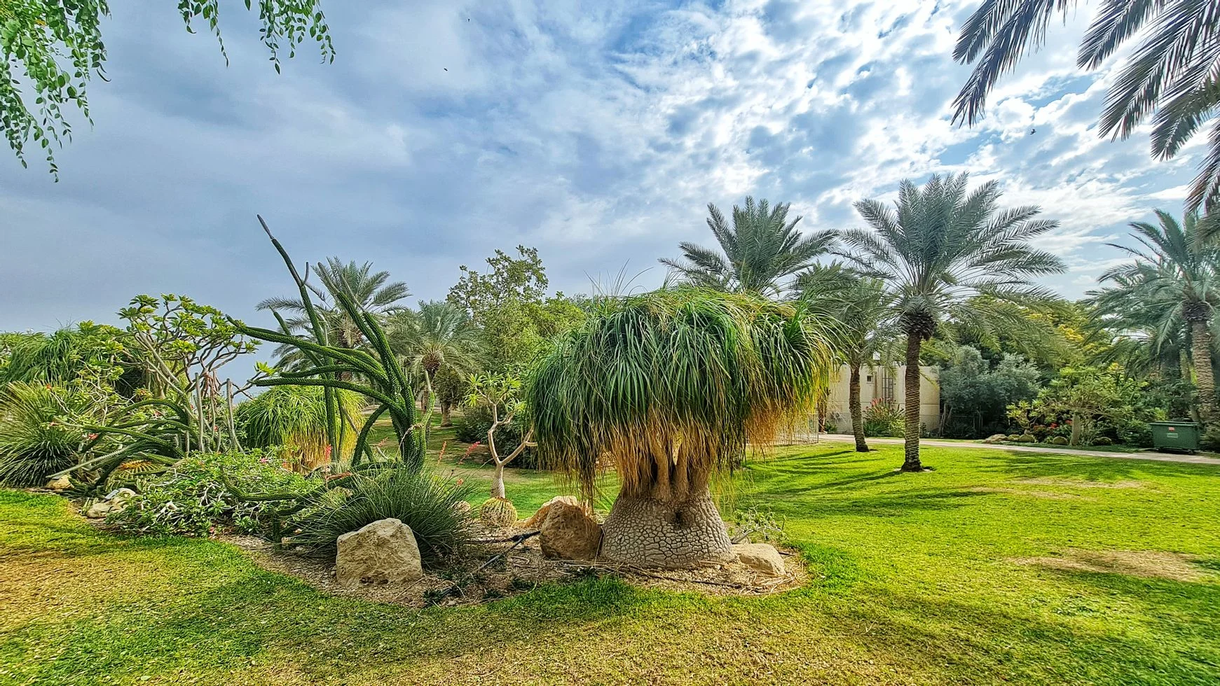 גן בוטני בלב מלון עין גדי. צילום: יפעת כהן