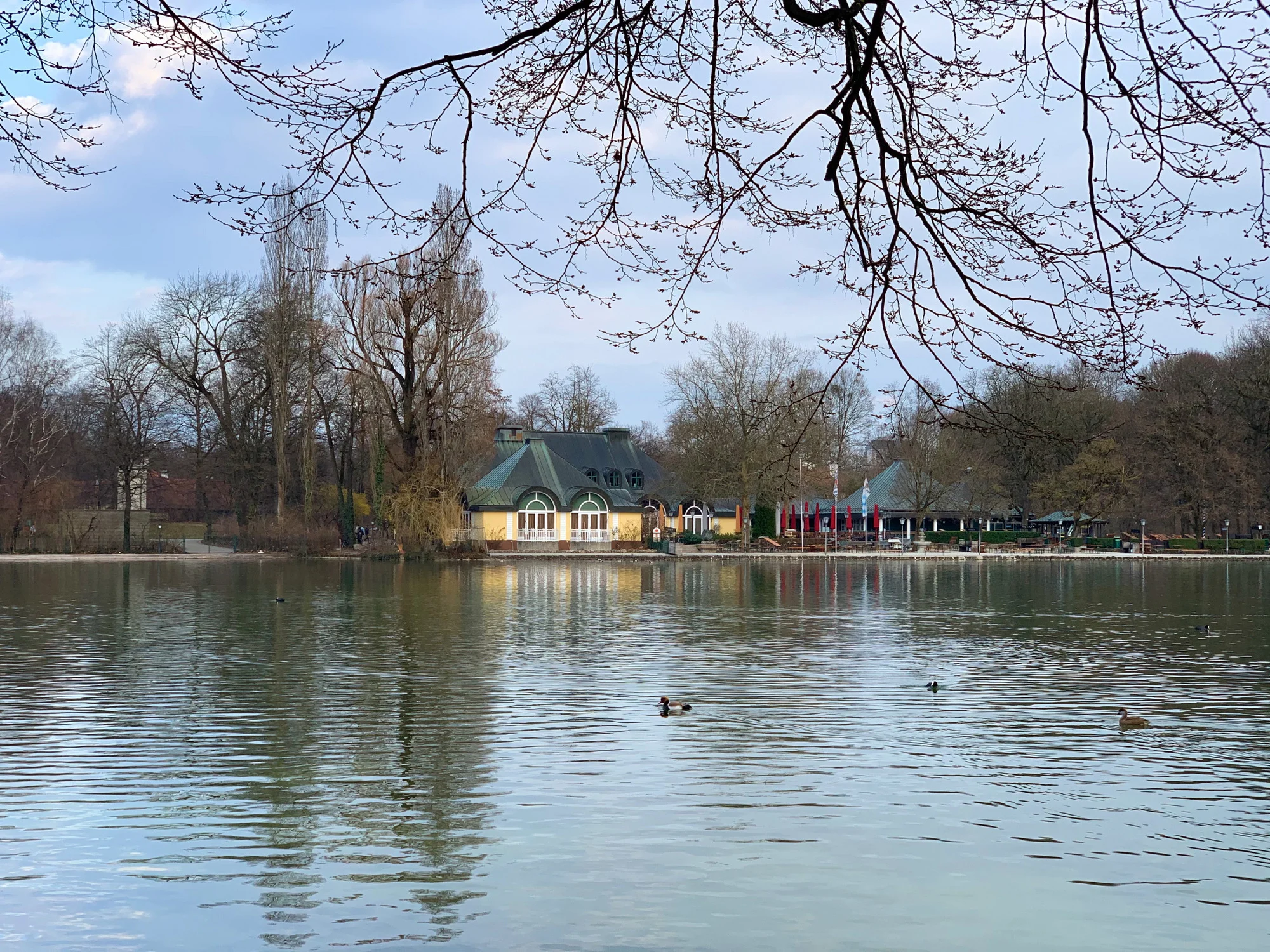 הגנים האנגליים צילום: גלית ויינברג
