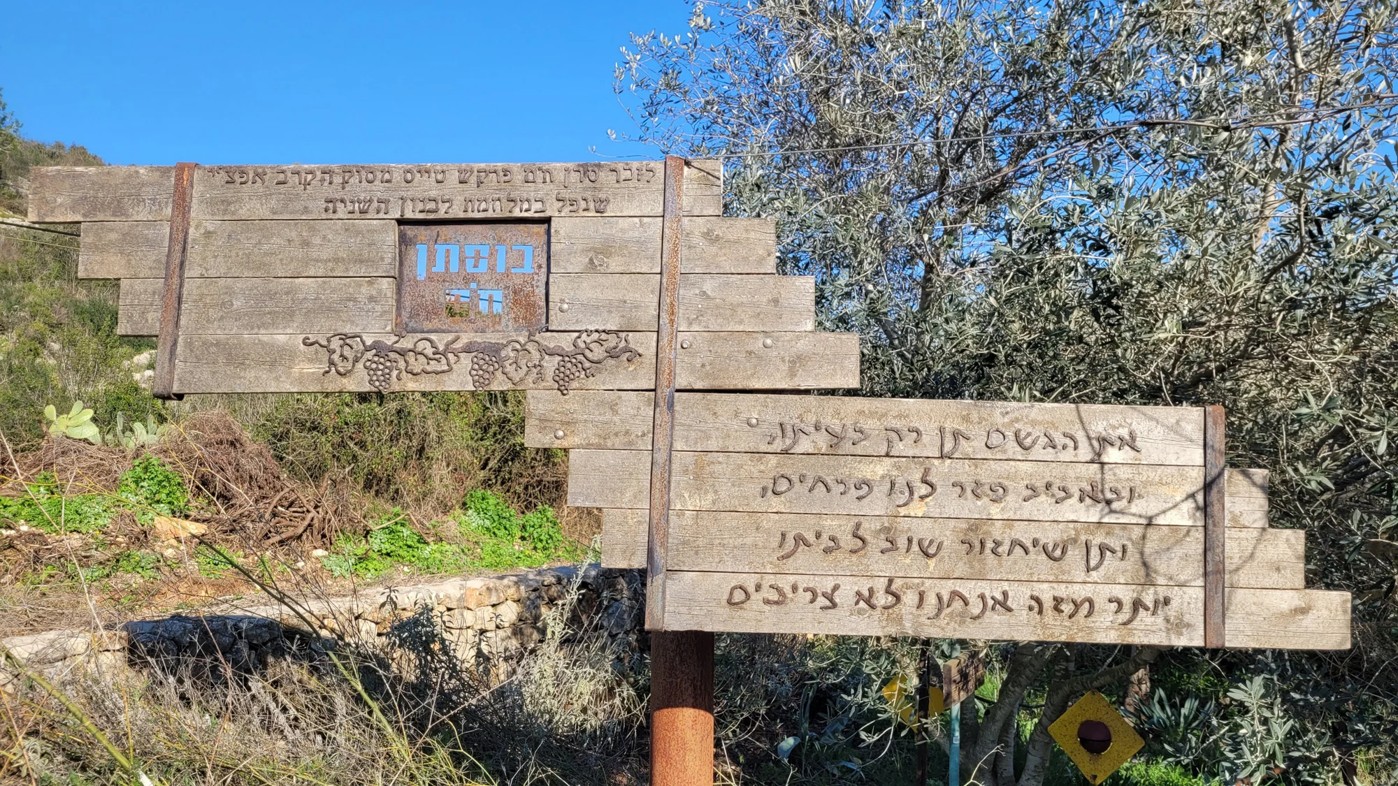 בוסתן תם. צילום: מיכל בן ארי מנור