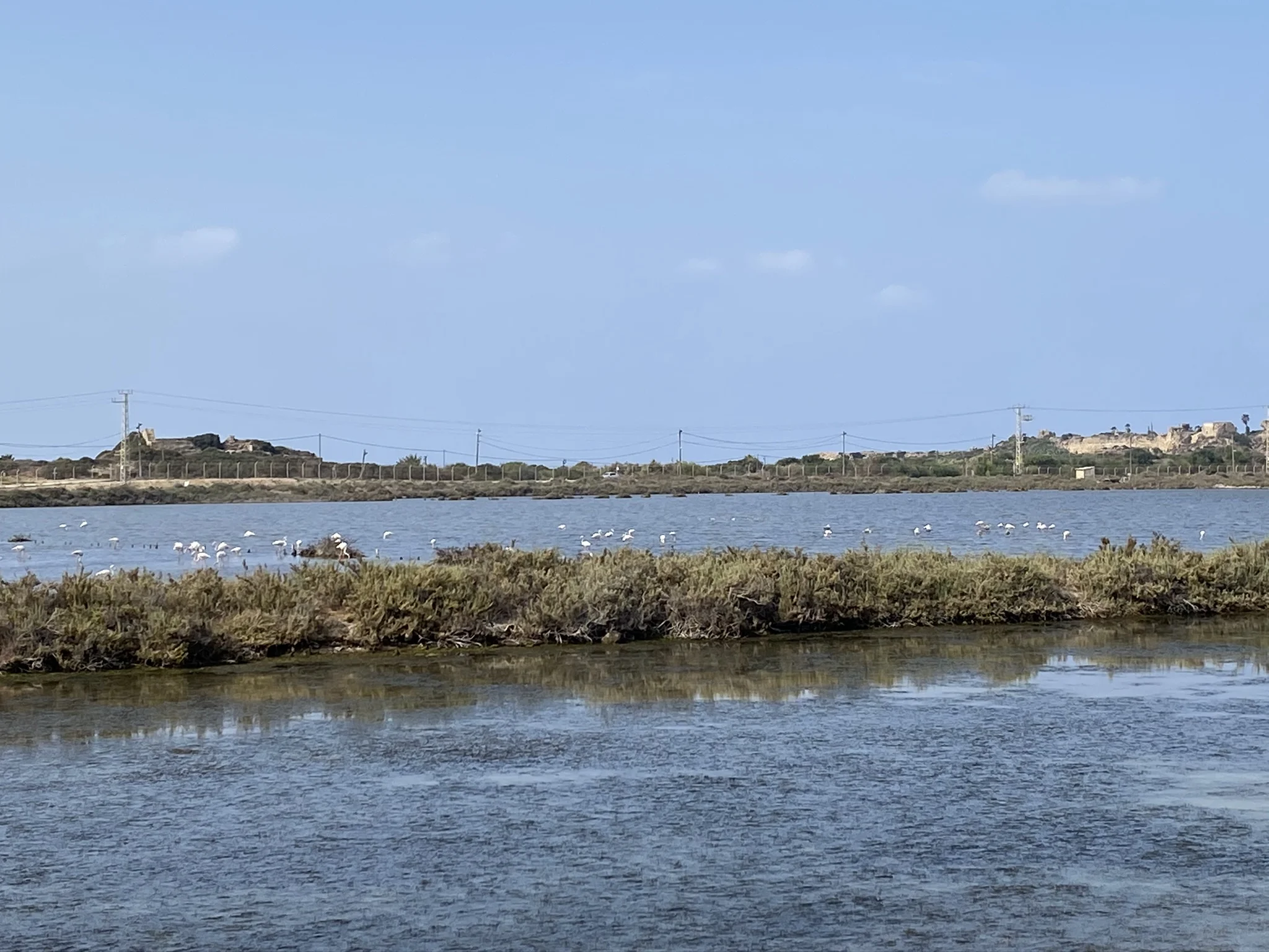 בריכות המלח בעתלית. צילום: אבנית סטרולוב
