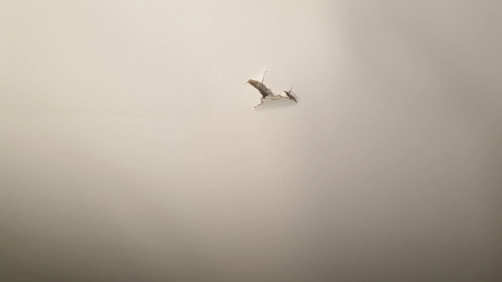 Whatsapp Image 2022 09 25 At 1