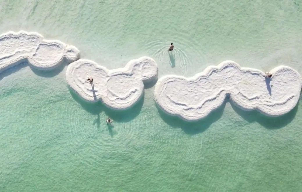 פטריות ים המלח