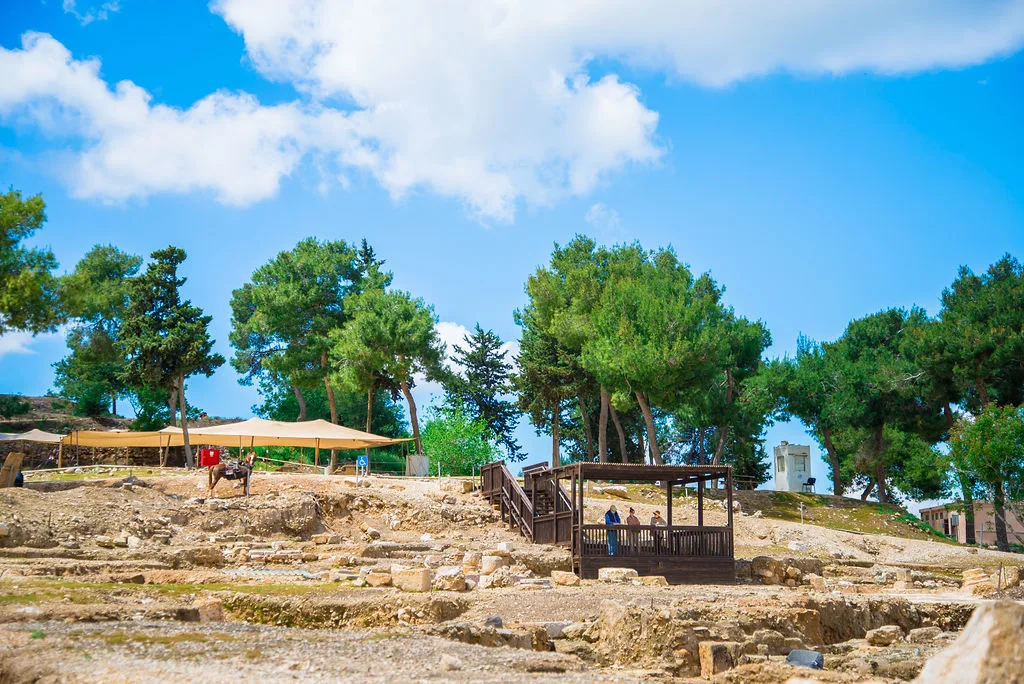 גן לאומי ציפורי. צילום: מנו גרינשפן באדיבות רשות הטבע והגנים