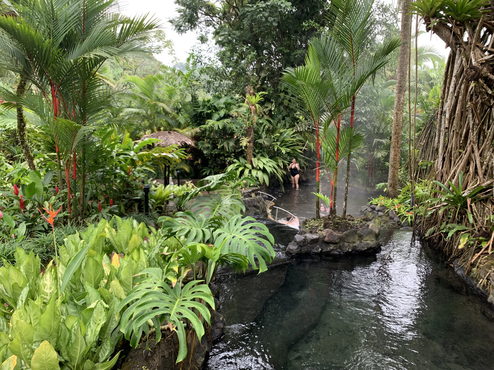 קוסטה ריקה. צילום: גייל זאבי ציבלין