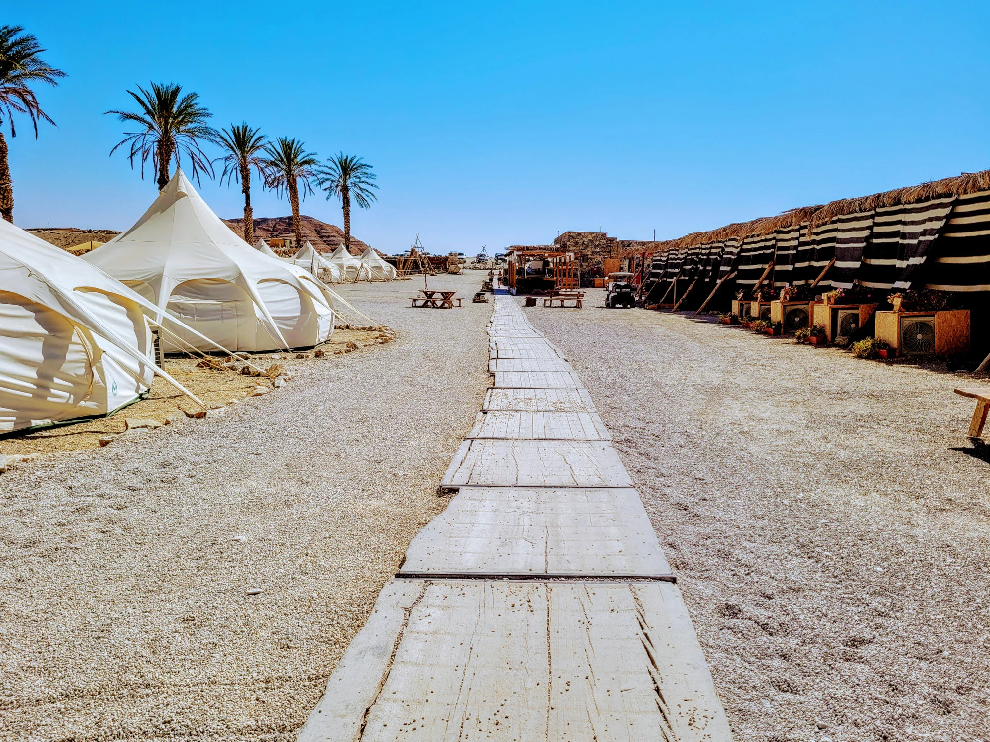 אתר הגלמפינג. צילום: עינת הרשקו