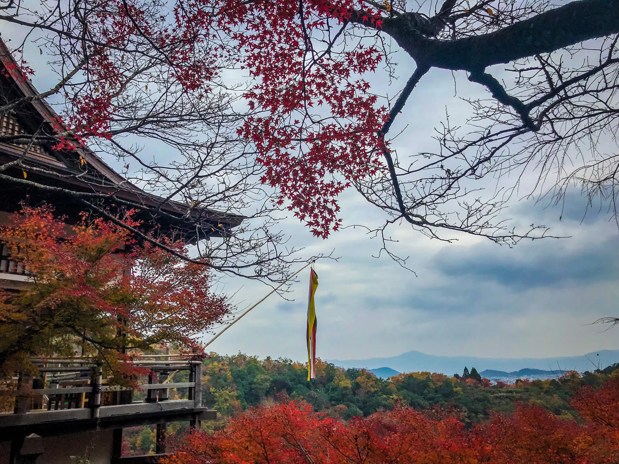 Daihikakusenkoji2