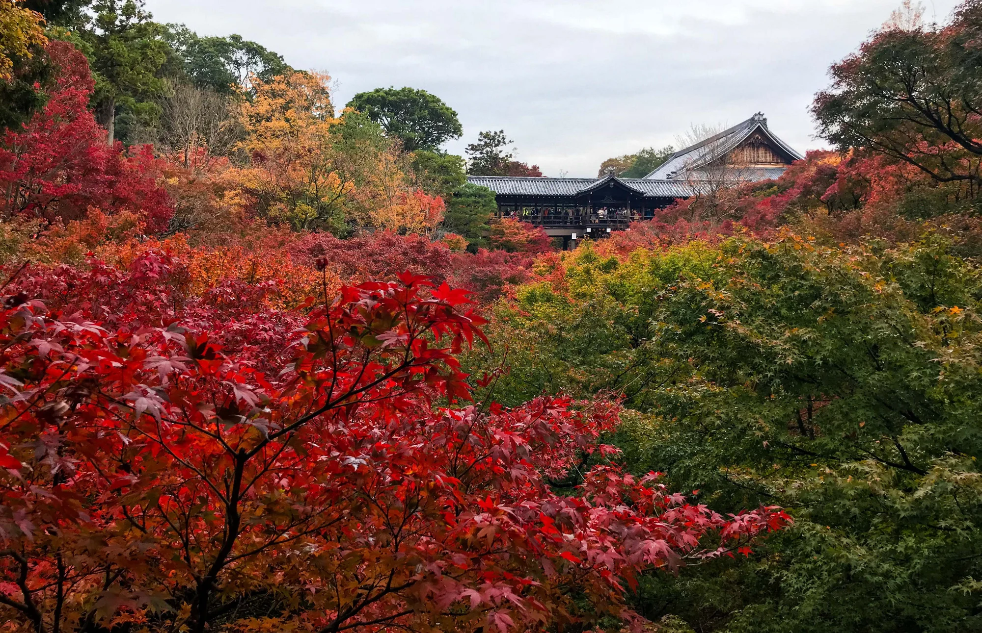 Tofukuji