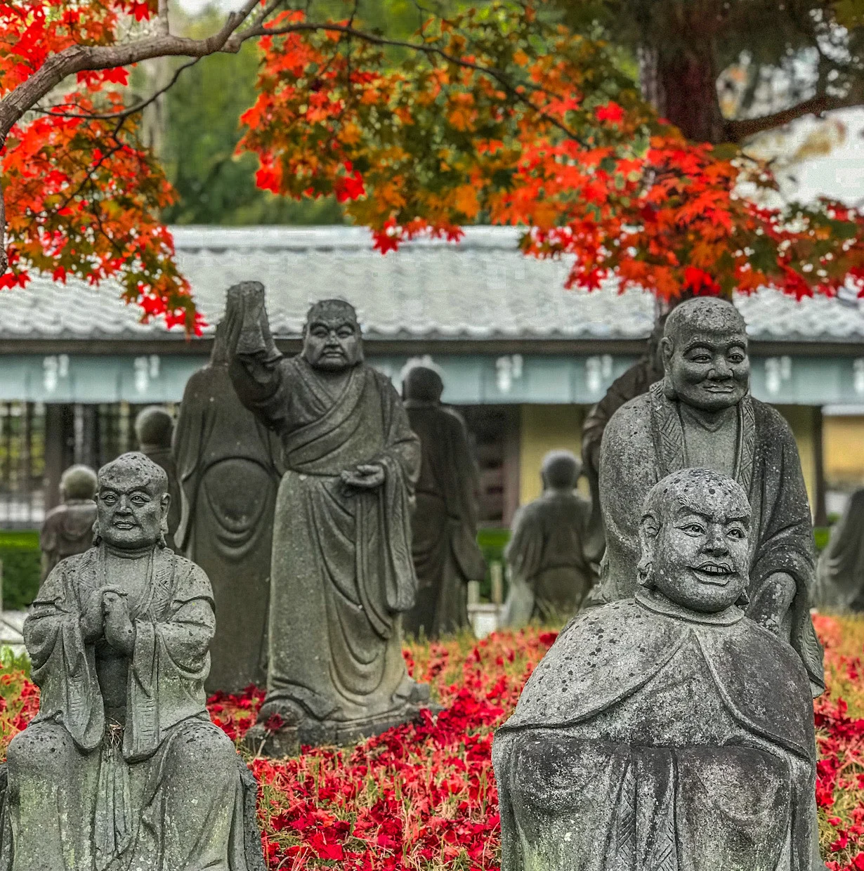 Jojakkoji3