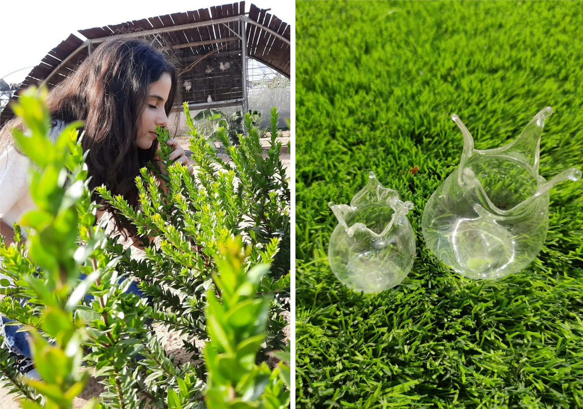 סוכות בצפון הנגב. צילומים: רונן חורב וחמדת שדות