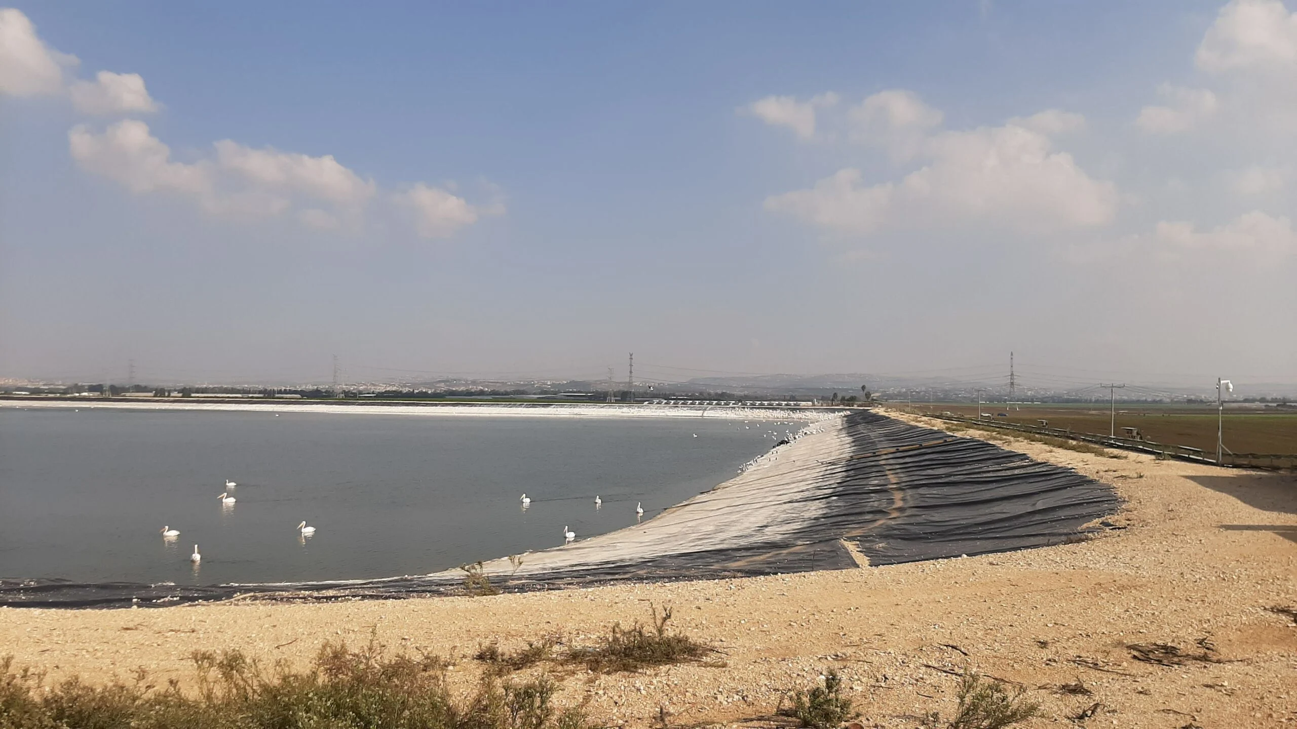 שקנאים במצפור ויקר