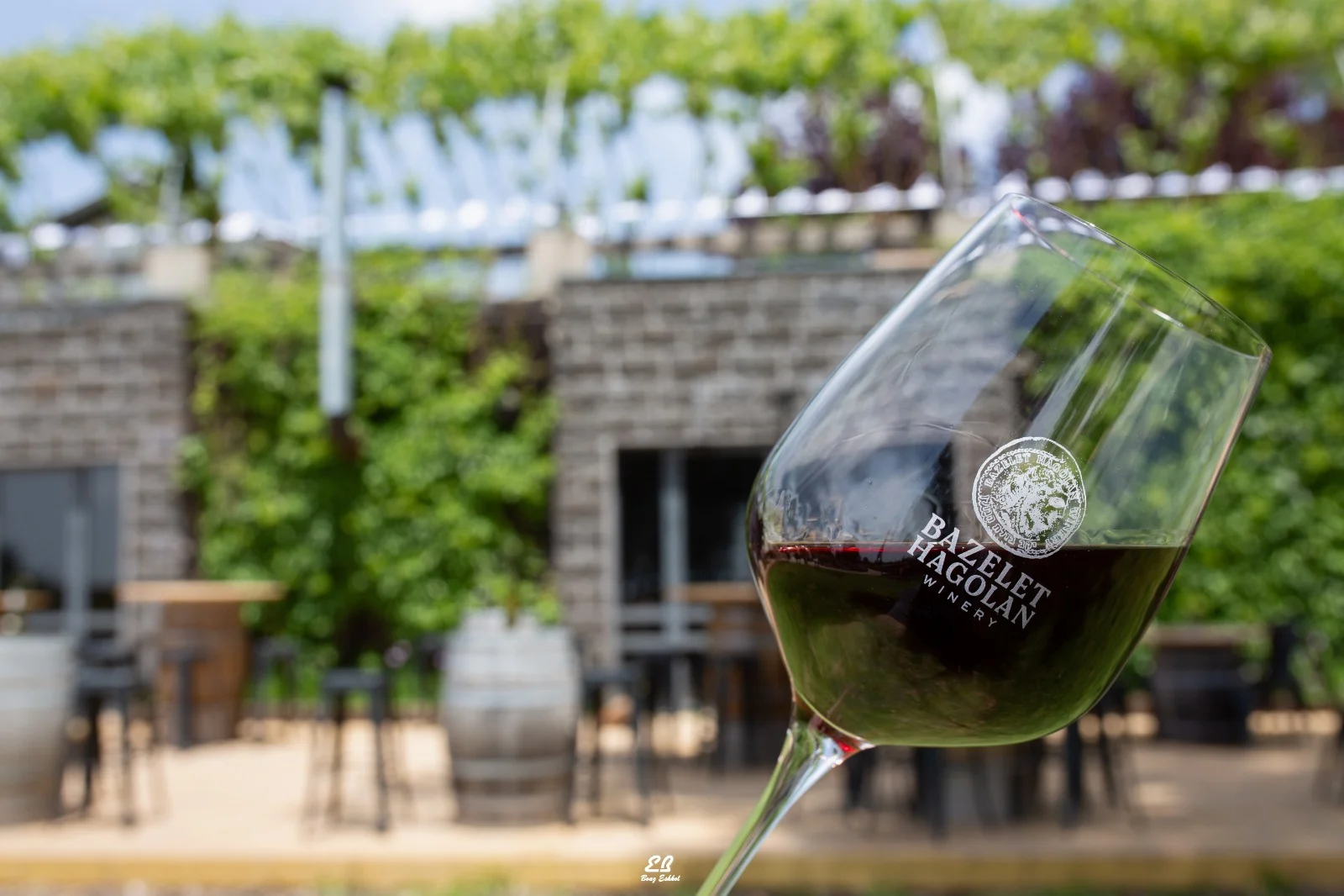 יקב בזלת הגולן. צילום: בועז אשכול 2