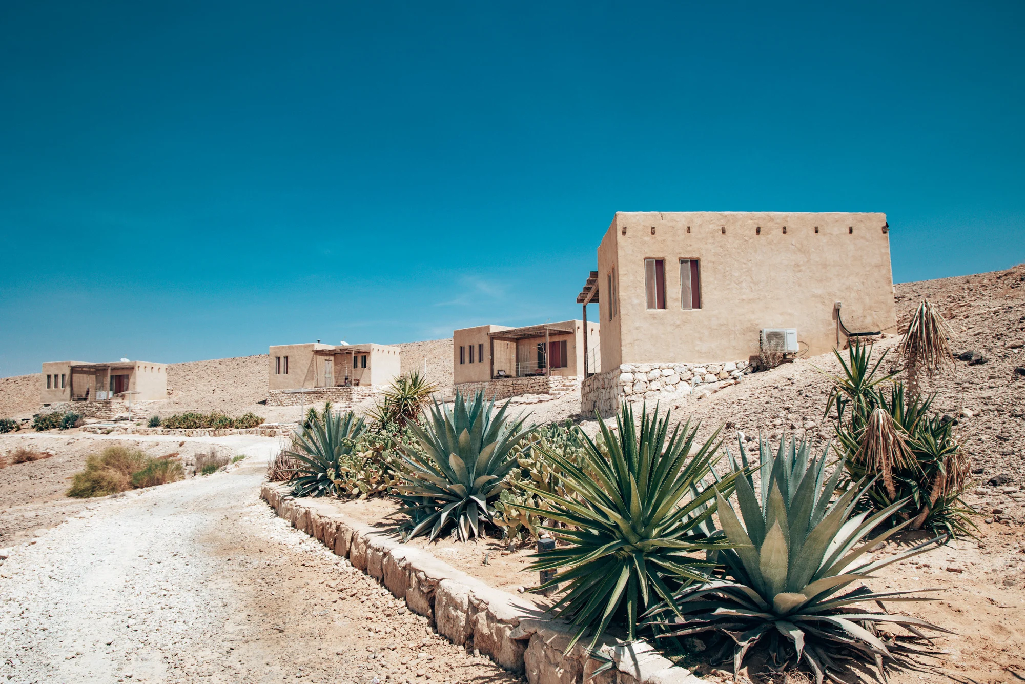 סלינה ערבה. צילום: Magdalena Mariabodzioch