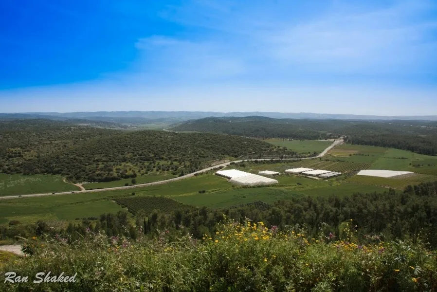 תל עזקה. צילום: רן שקד