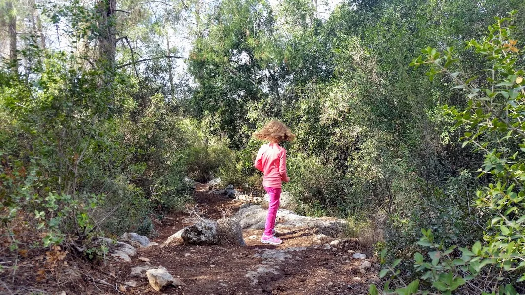 שביל האלות. צילום: עינב לנדאו