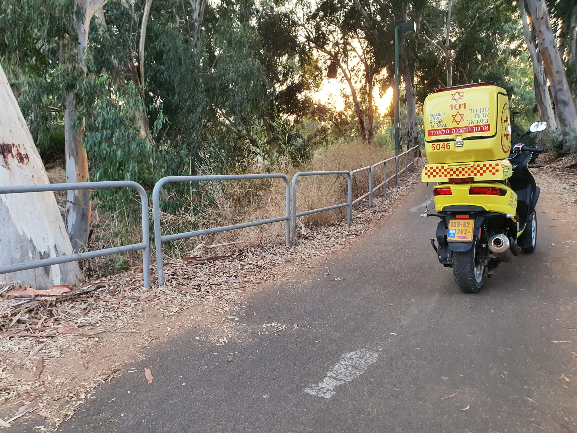 זירת האירוע בפארק הירקון