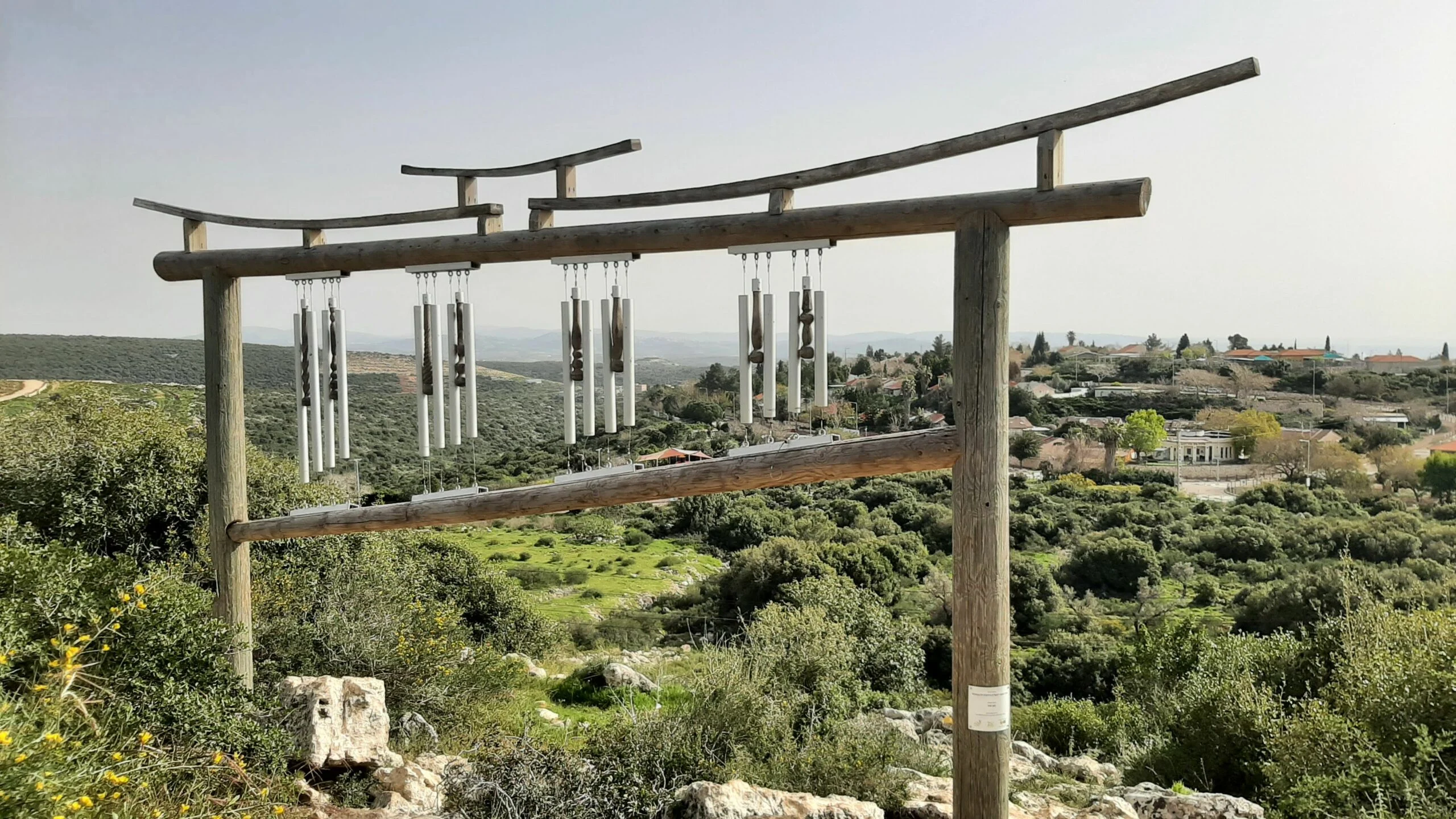 מרבד ירוק קציר