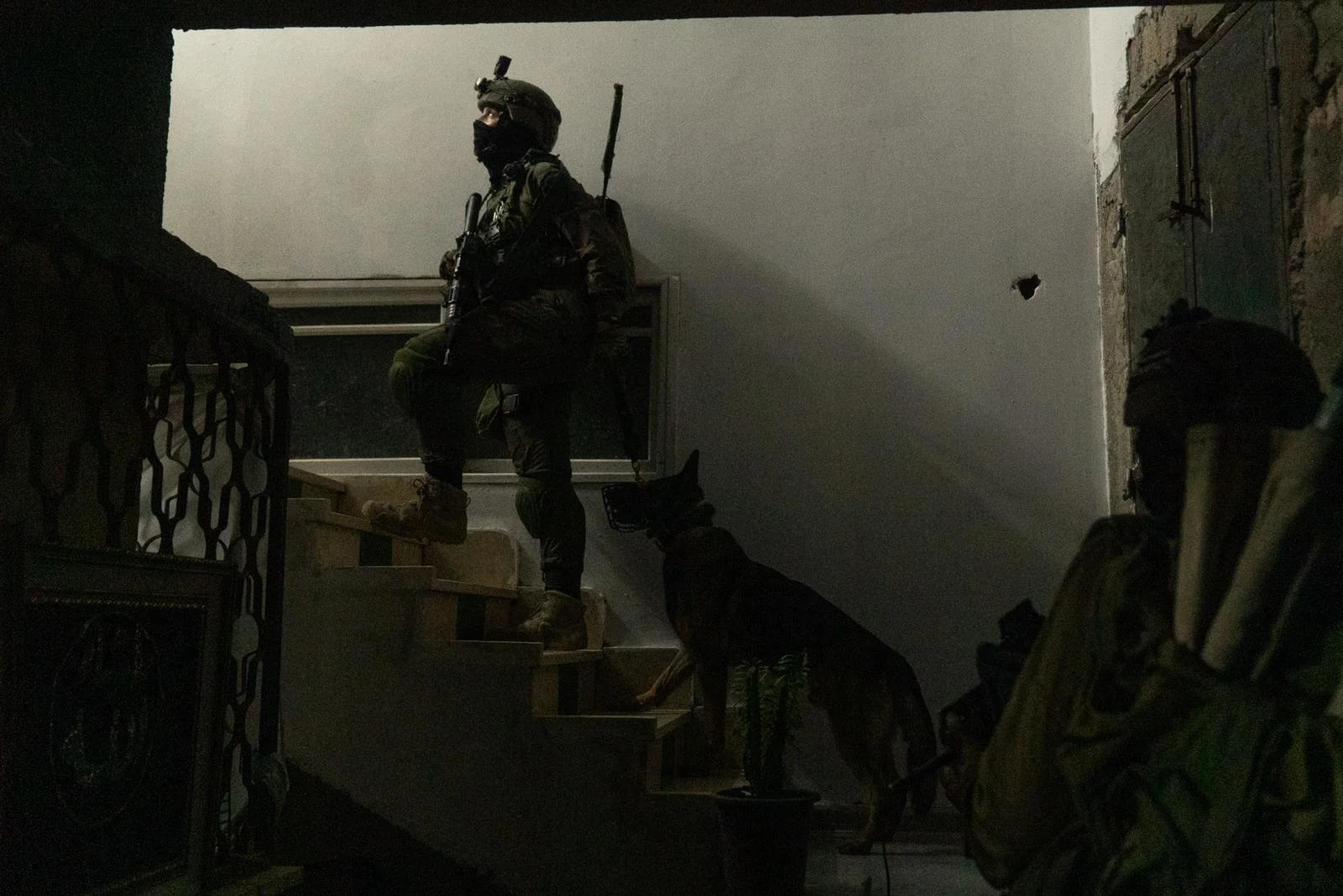 פעילות כוחות צה''ל הלילה בשטחים