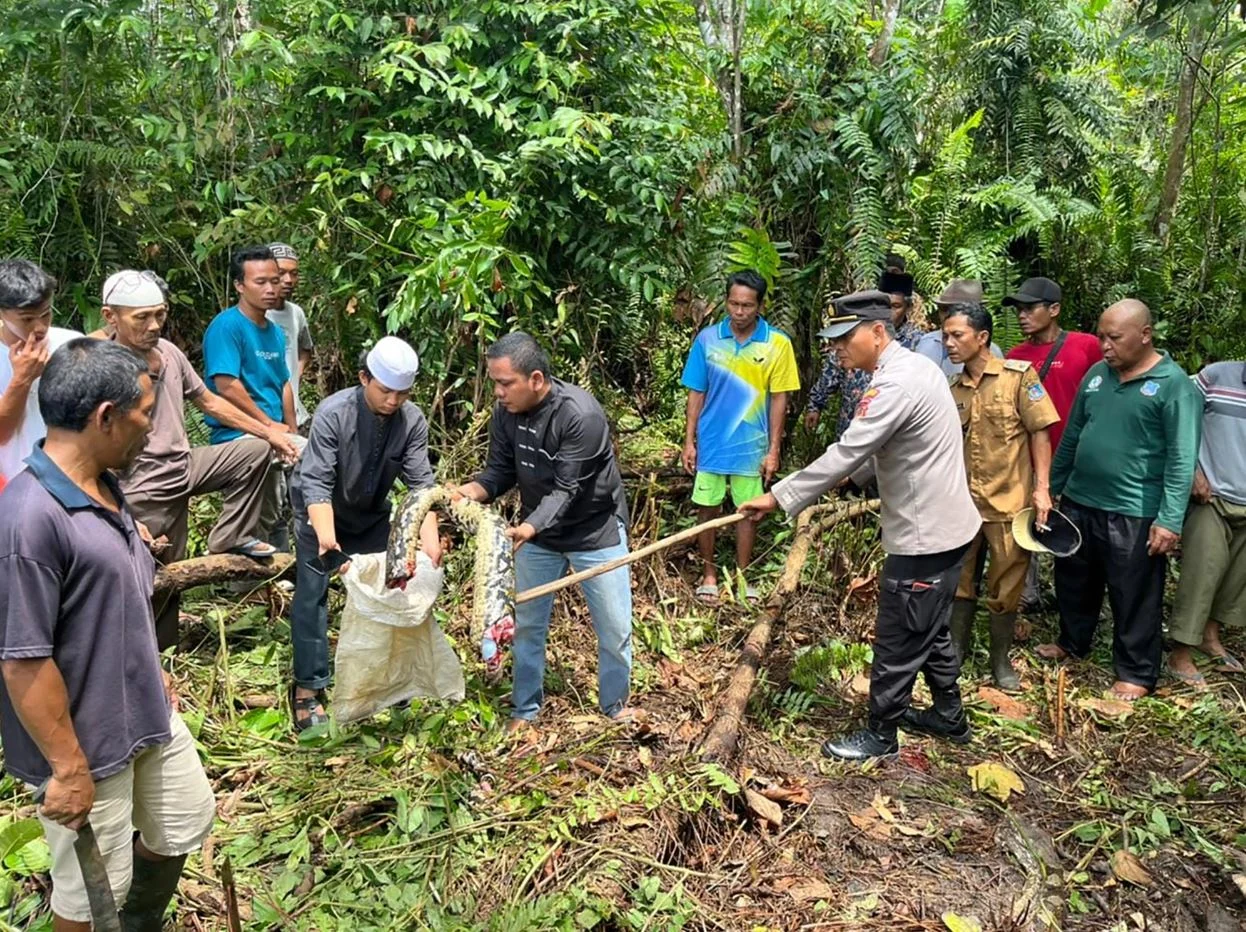 אנשי הכפר מטפלים בגופת הנחש