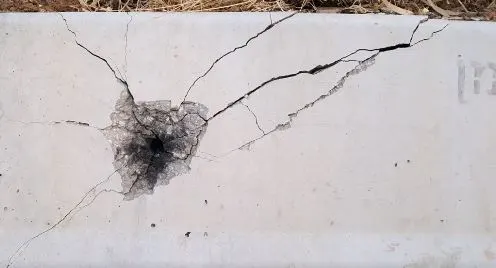 פרשת ד''ר בום, סחיטת חברות נדל''ן