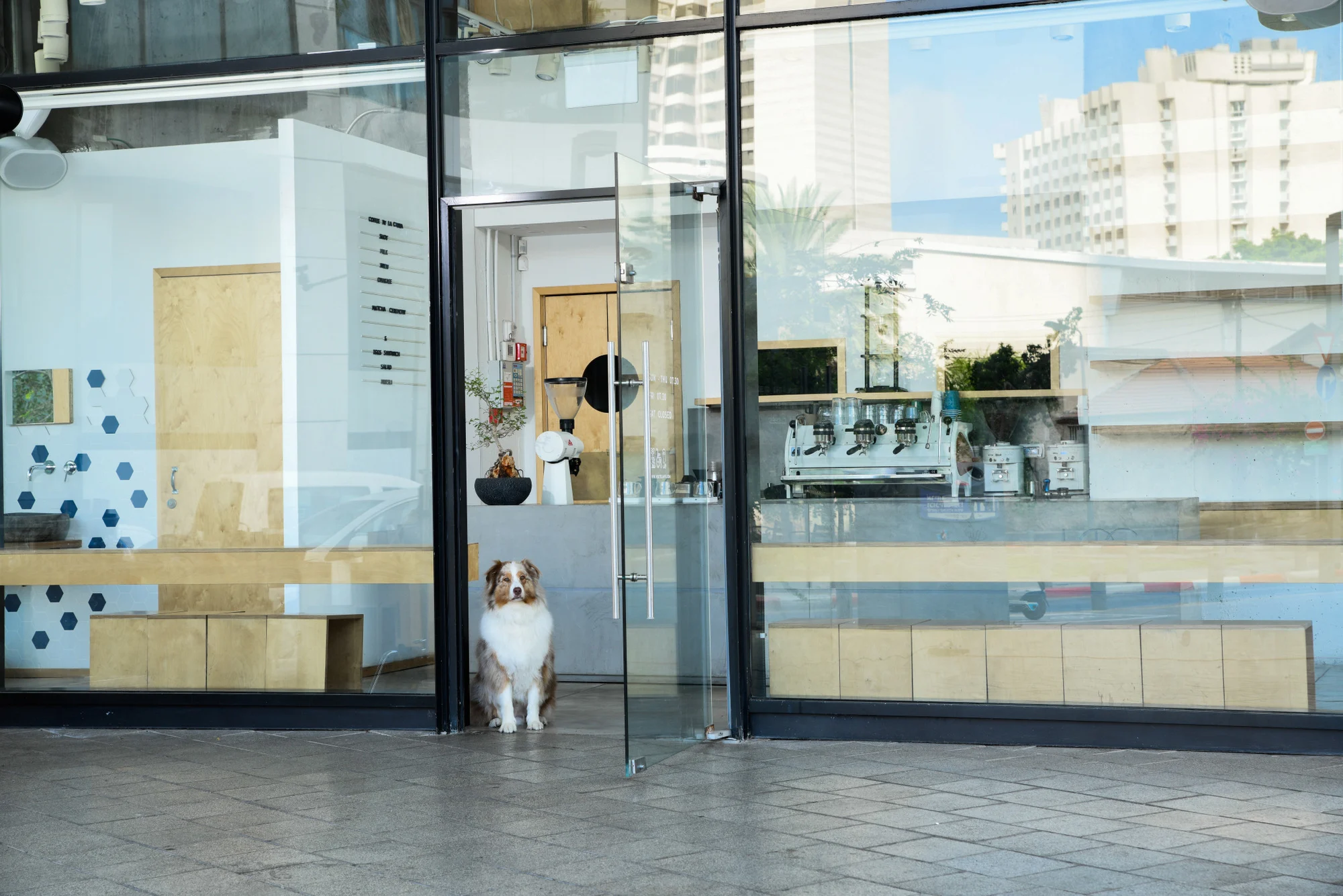 בית קפה HOC צילום: עמית זאנטקרן