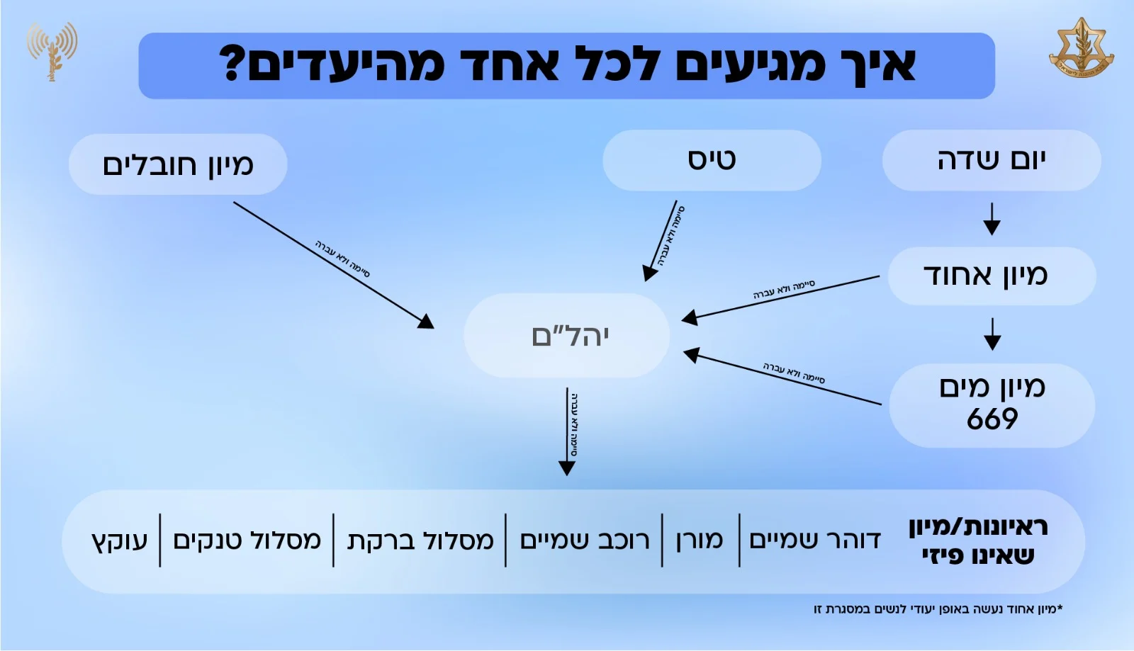 שלבי מיון