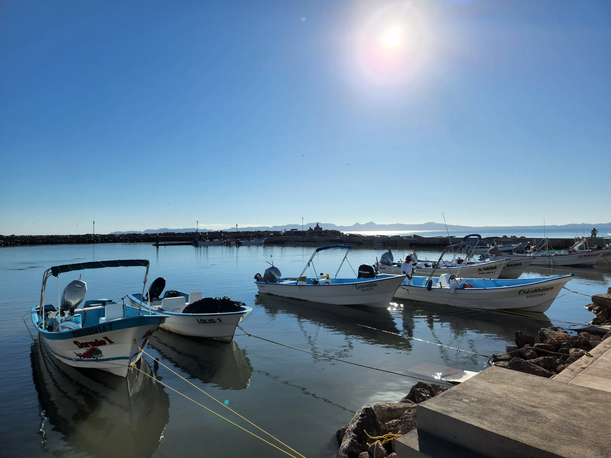 לורטו מקסיקו. צילום: מתן הירש