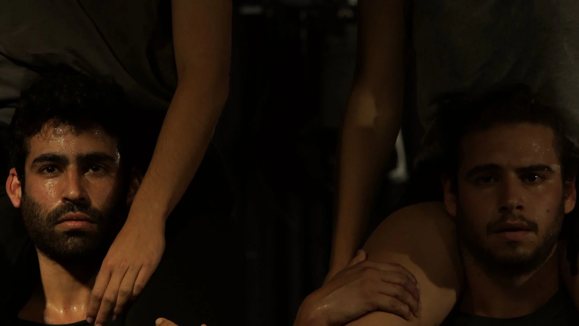 הם לא יגורו בבתים שהם בונים