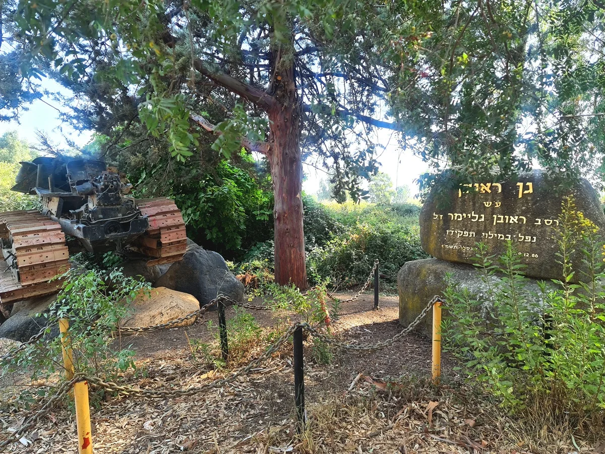 עין צנובר. צילם: תקשורות - יעל שביט