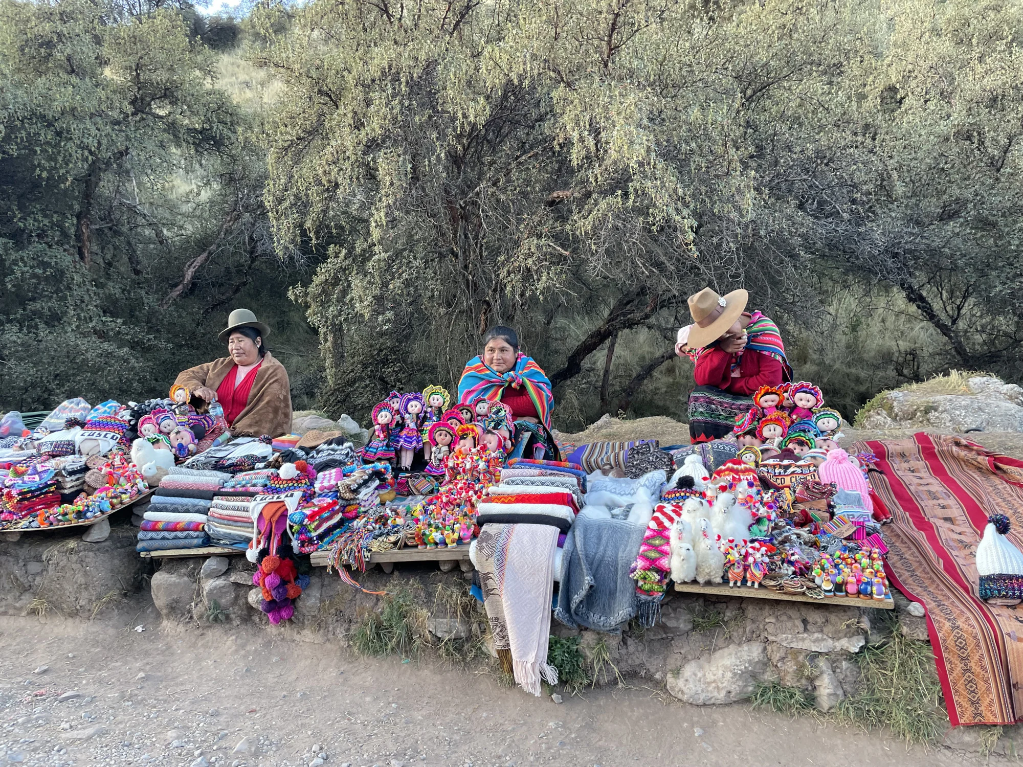 פרו שירלי טוקר