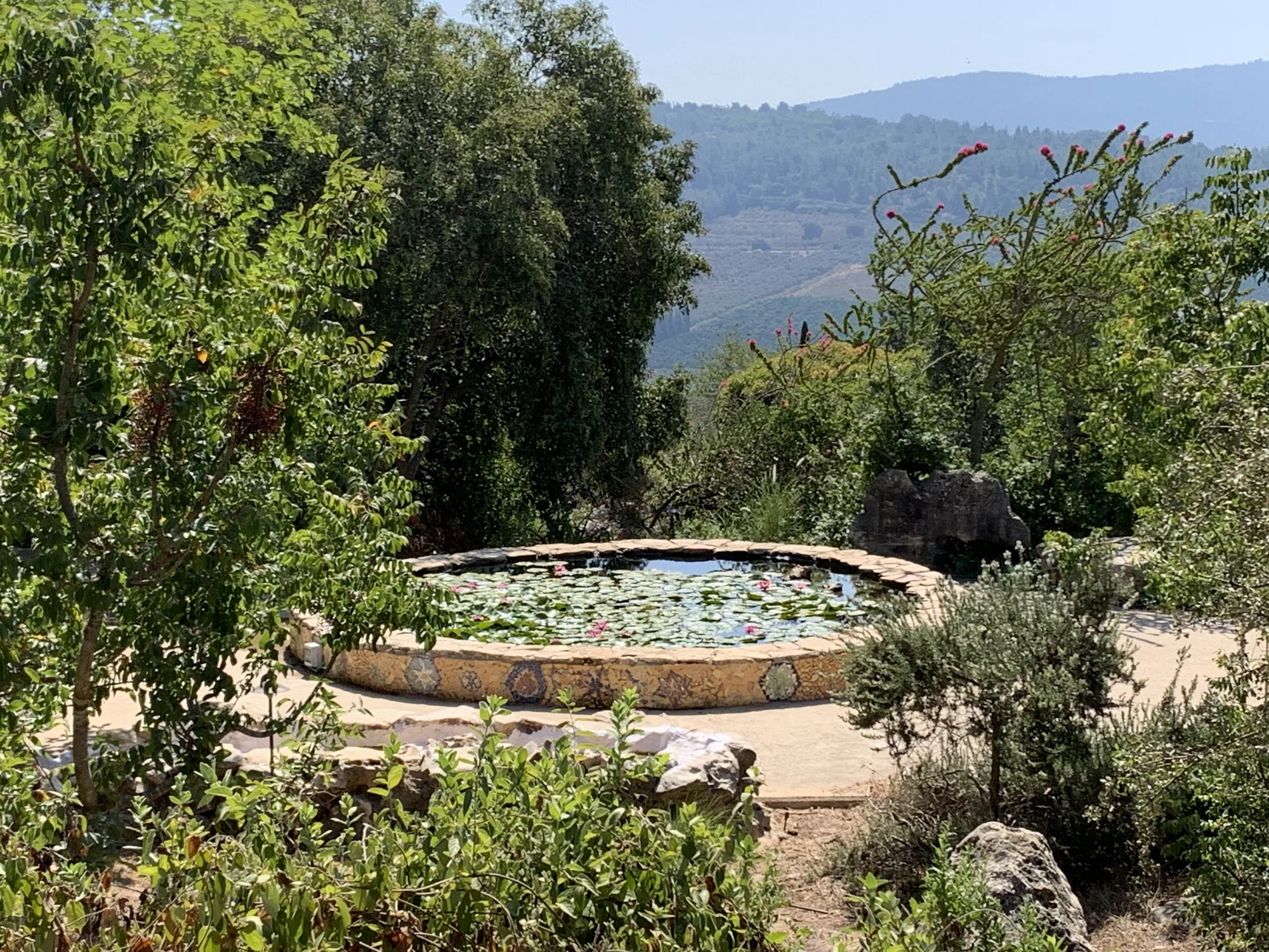 מעלה צביה צילום גבי זהר