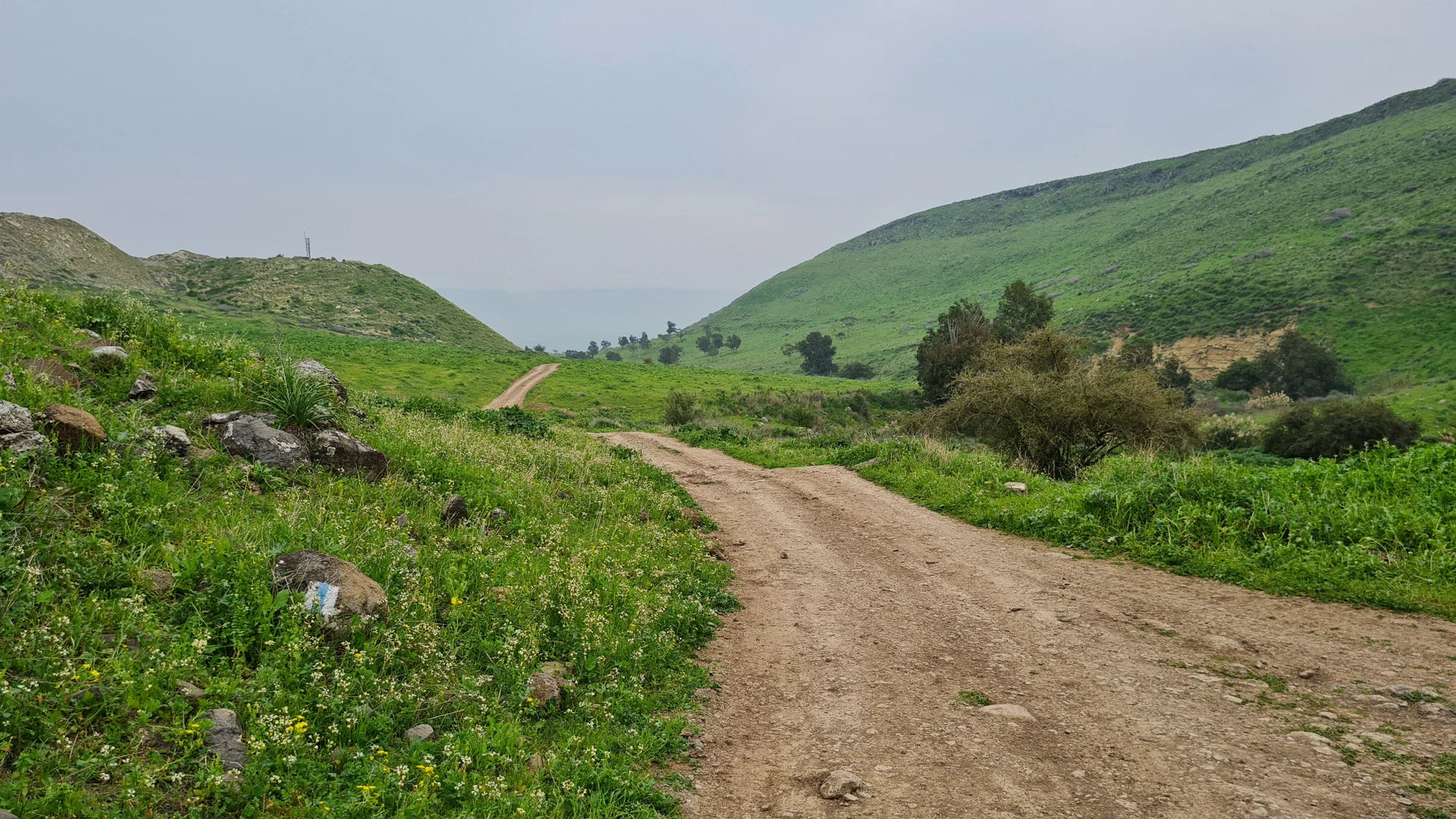 קרדיט תמונות: check in/out