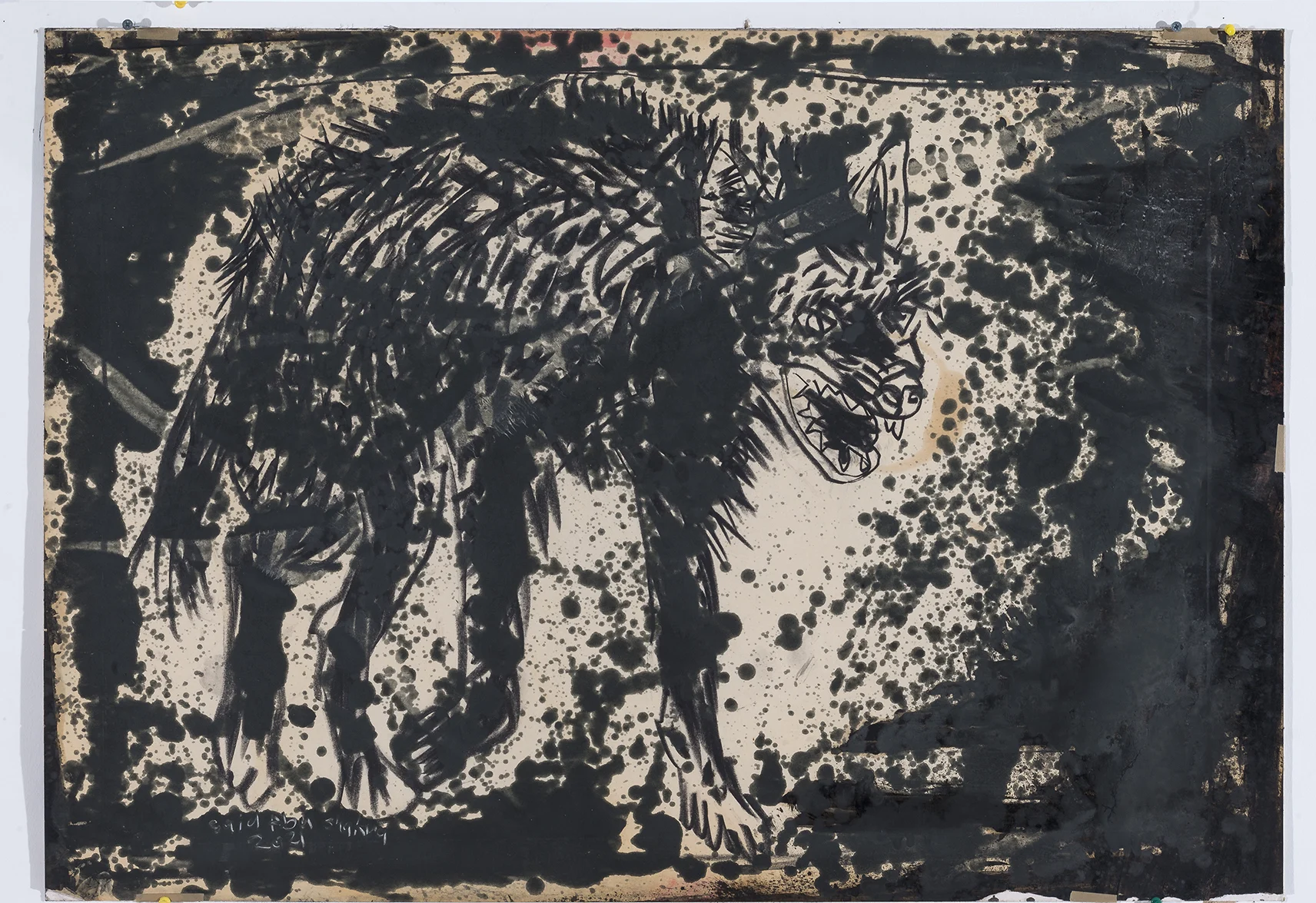 סעיד אבו שקרה צילום יגאל פרדו