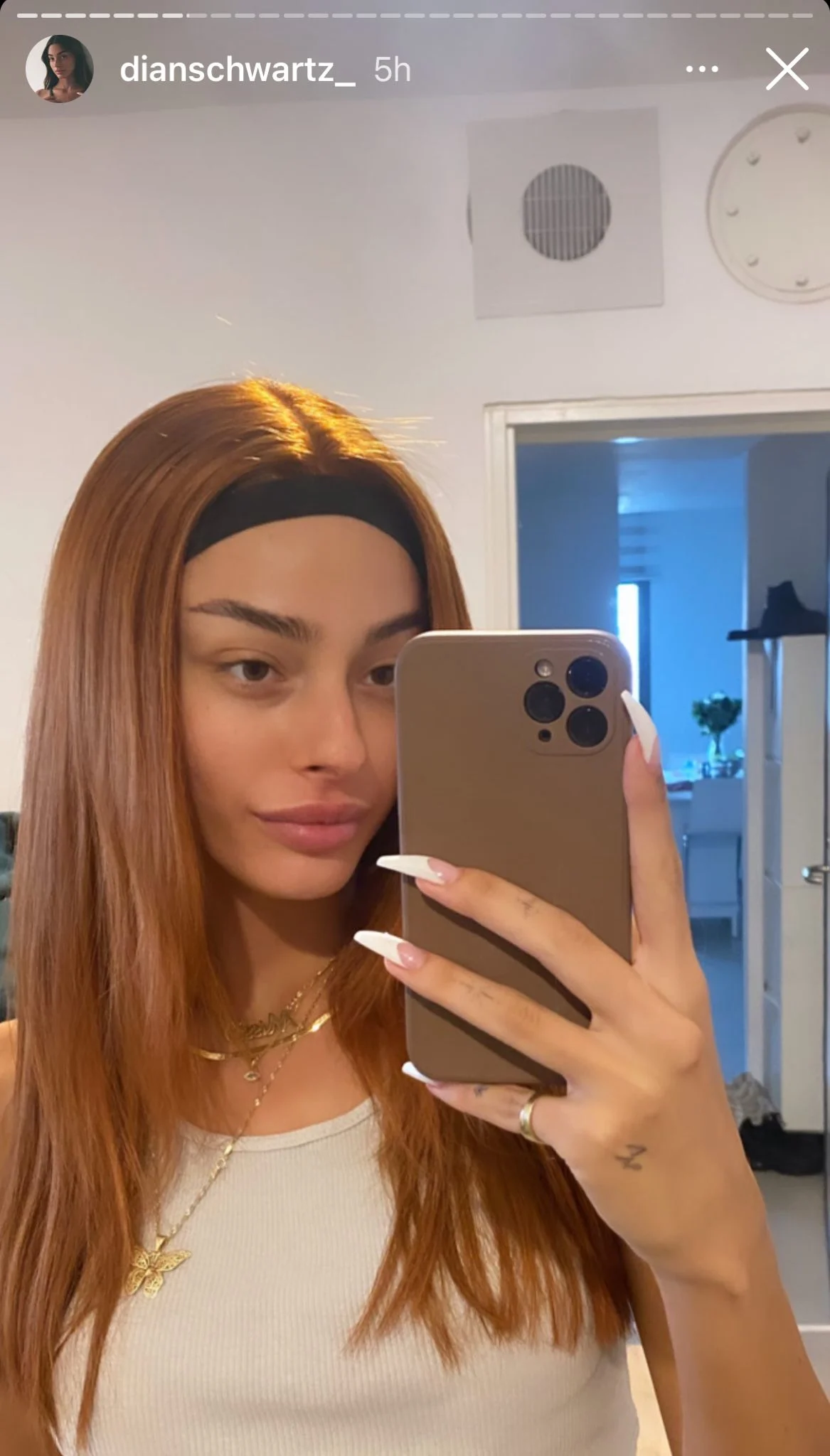 הפאה של דיאן