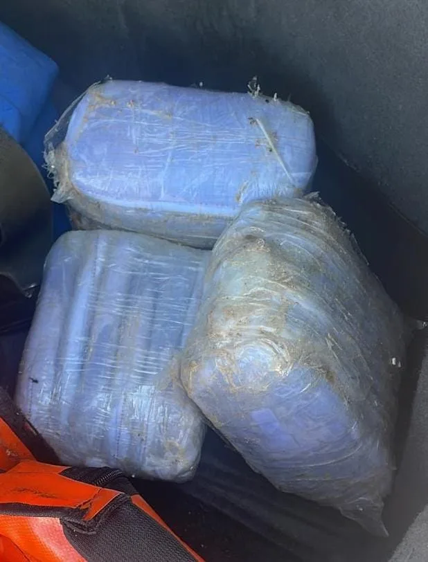 השקים שנמצאו מול חופי געש