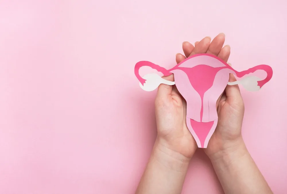Women's,health,,gynecology,and,reproductive,system,concept.,woman,hands,holding