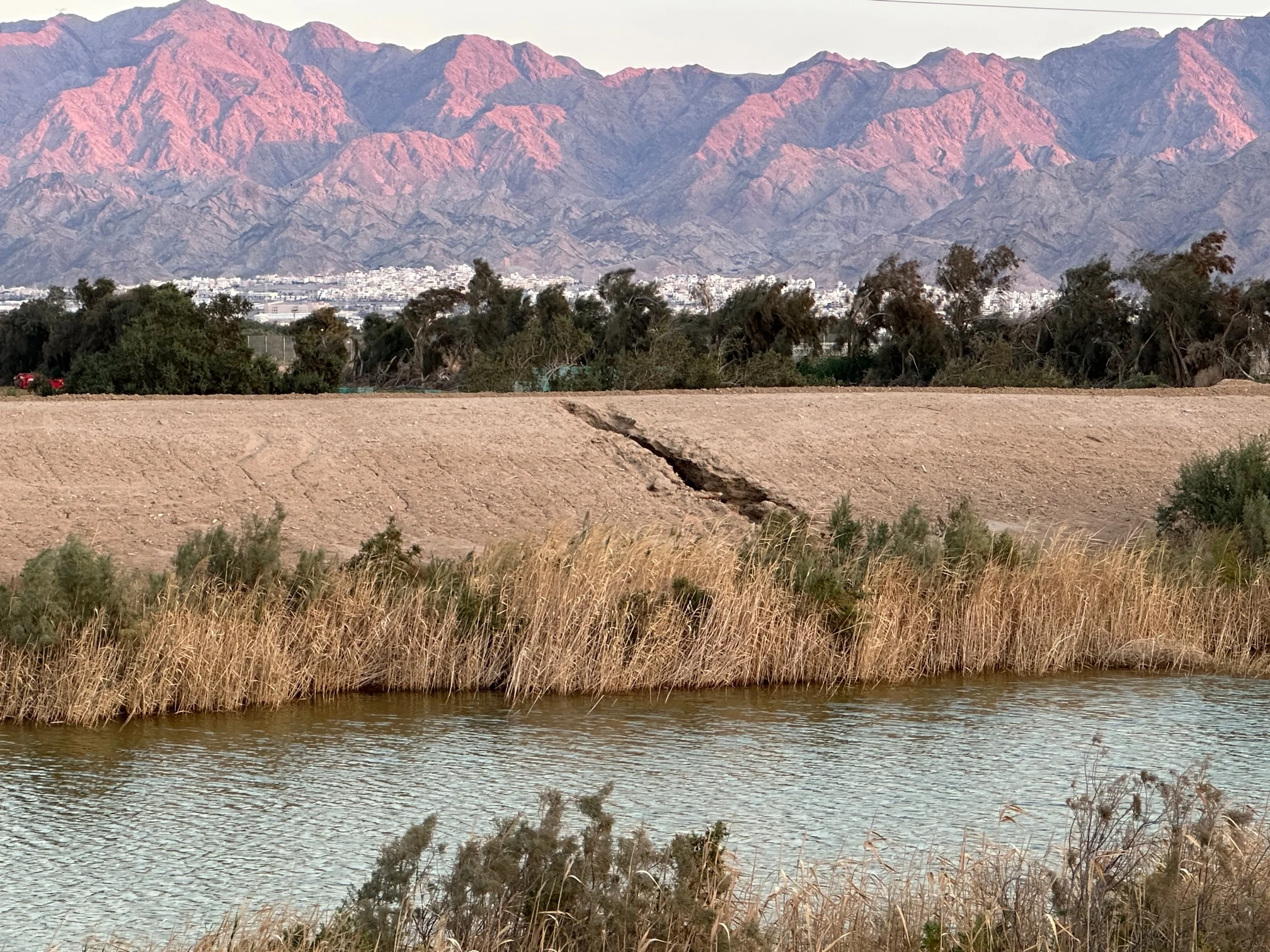 משהו טוב קורה באילת בחורף. צילום: איריס סביניק קרסו