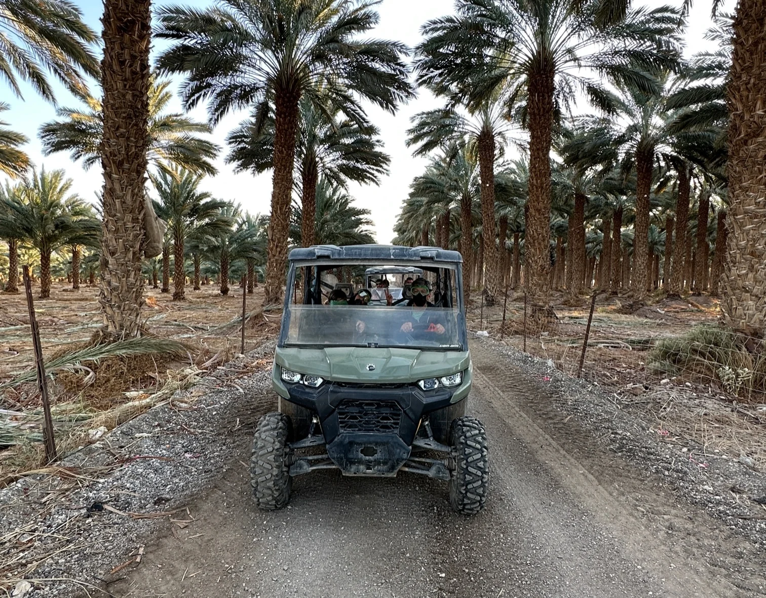 סיור רייזרים. פארק הצפרות. צילום: איריס סביניק קרסו