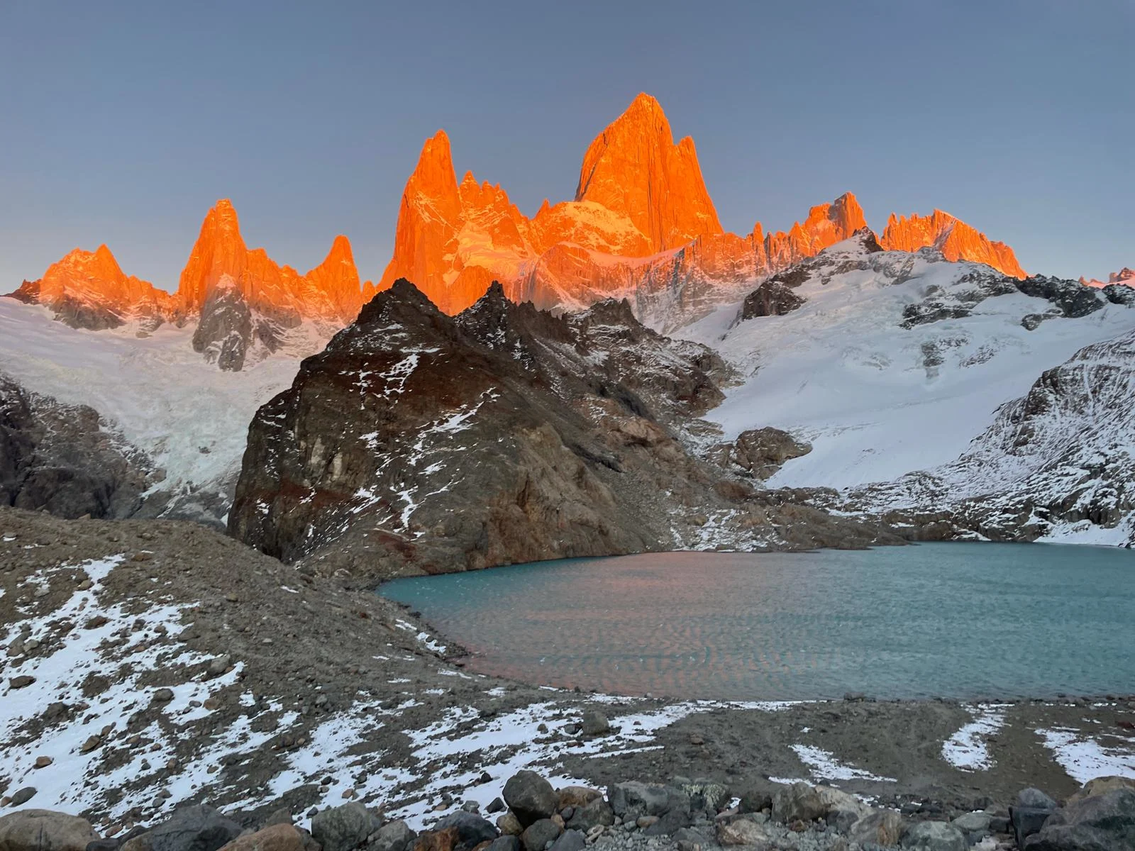 ואמוס ארנטינה. צילום: תומר טוקר
