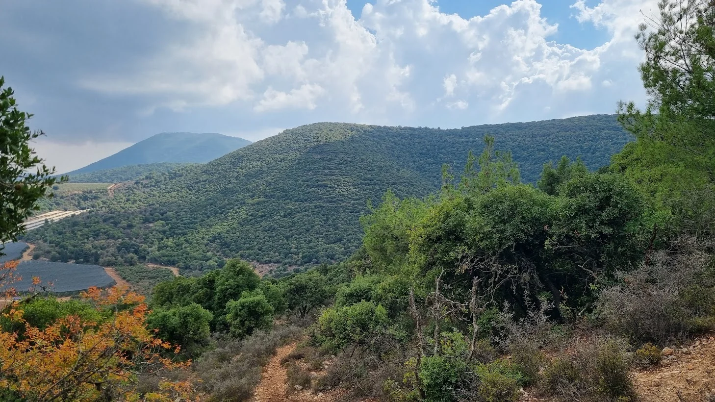 הר אדיר. צילום: אביחי שקד