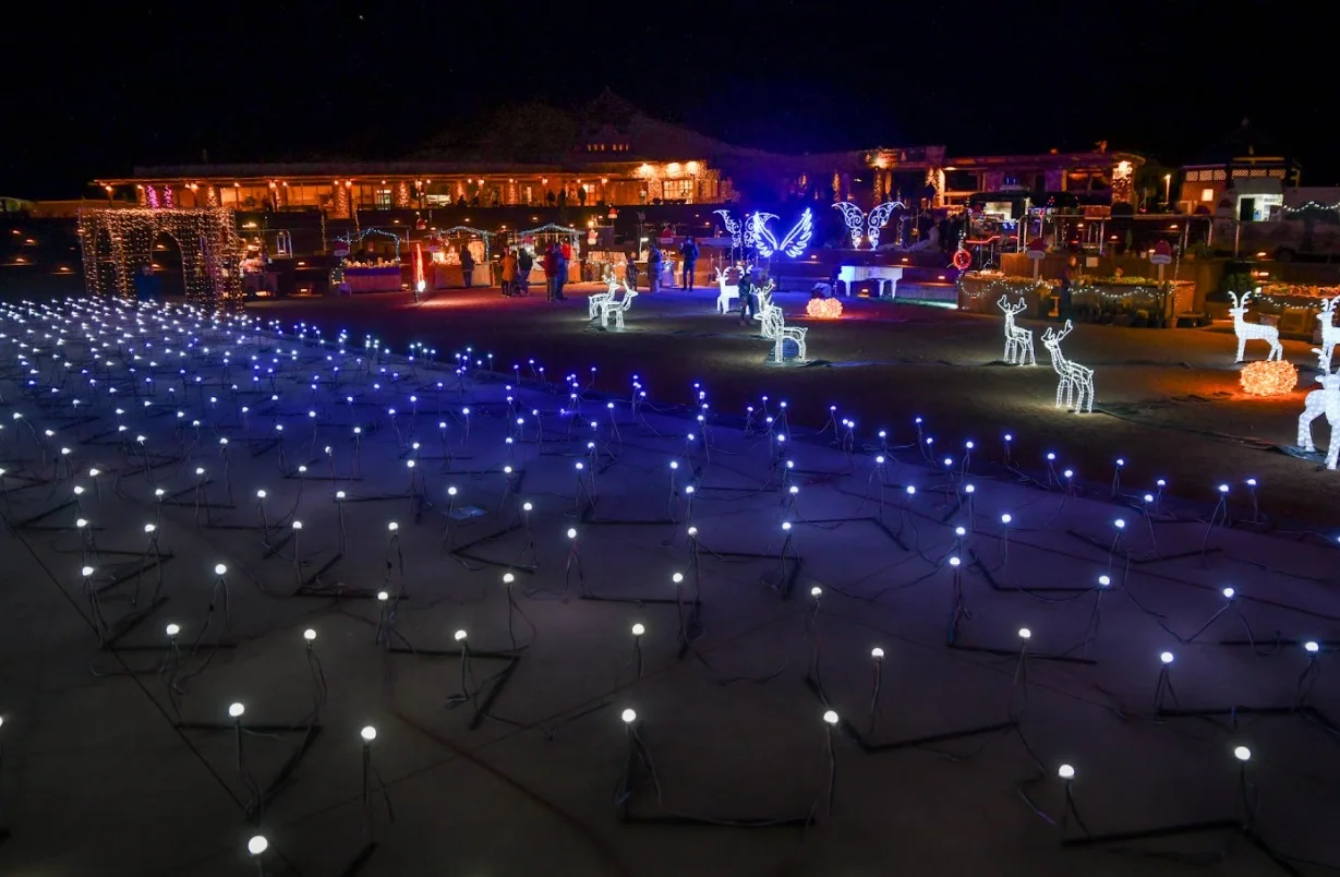 ארן דולב, תמנע, הערבה הדרומית (4)