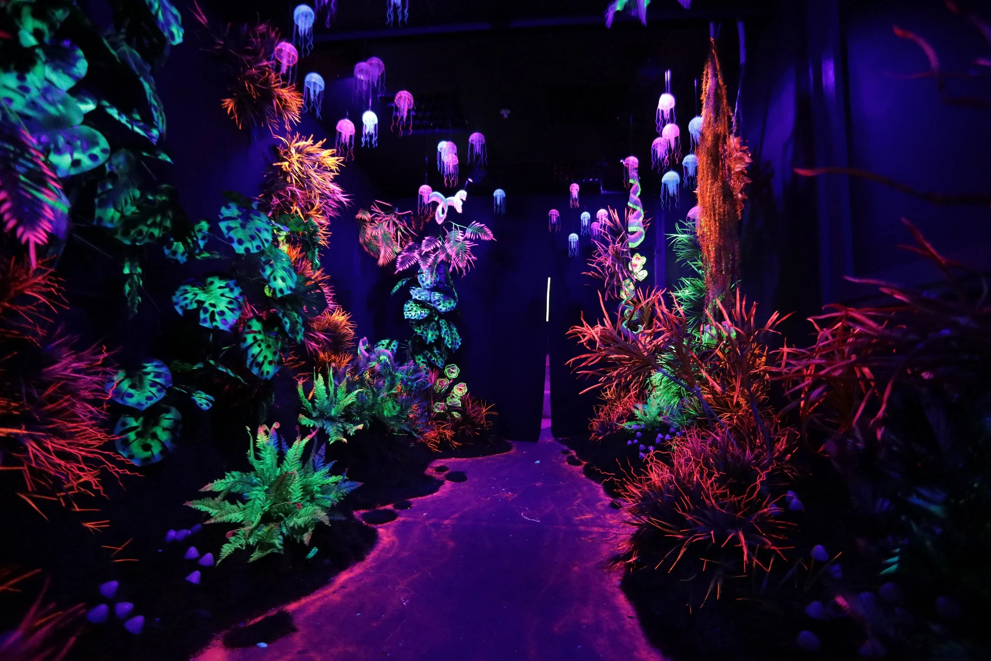 מוזיאון הלילה eleswhere. צילום: ג'וד מוסקוביץ.