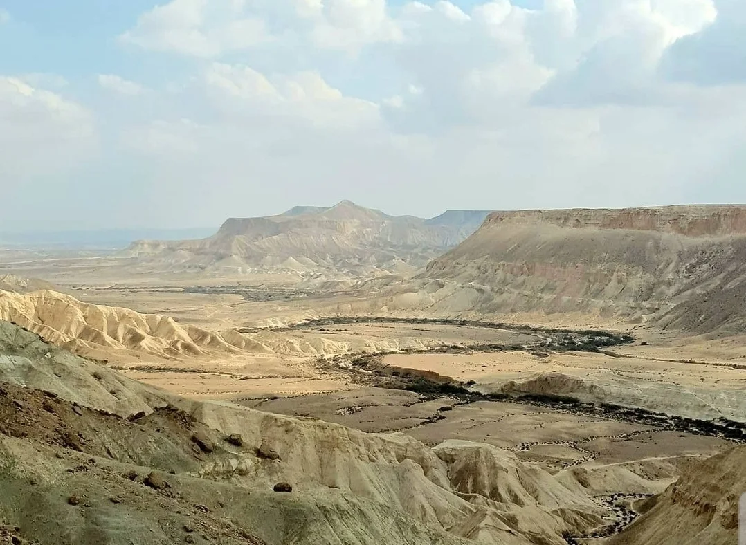 אגן שדה בקור. צילום: קרן מיסוק