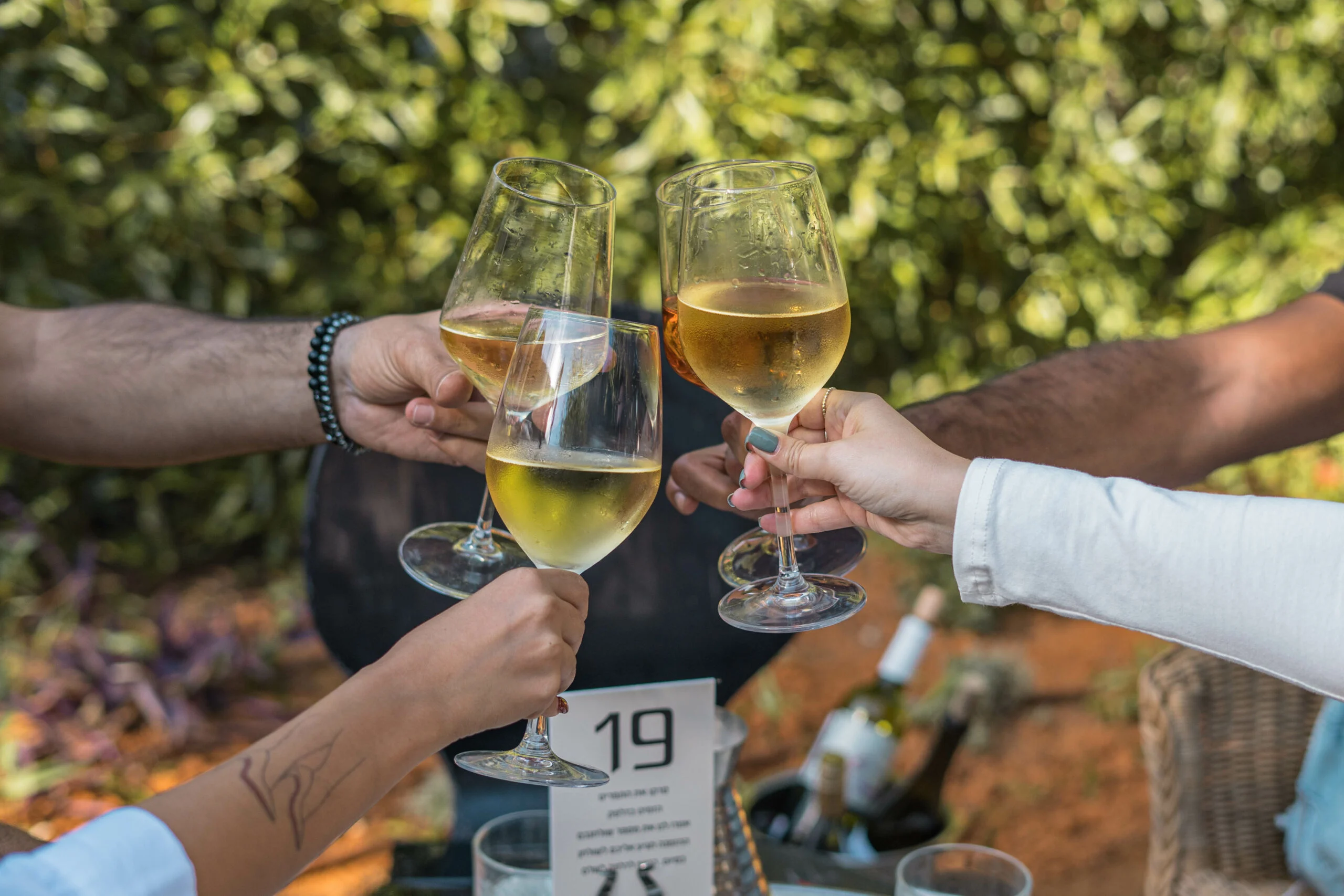 נוף בחצר. צילום: פז זיו