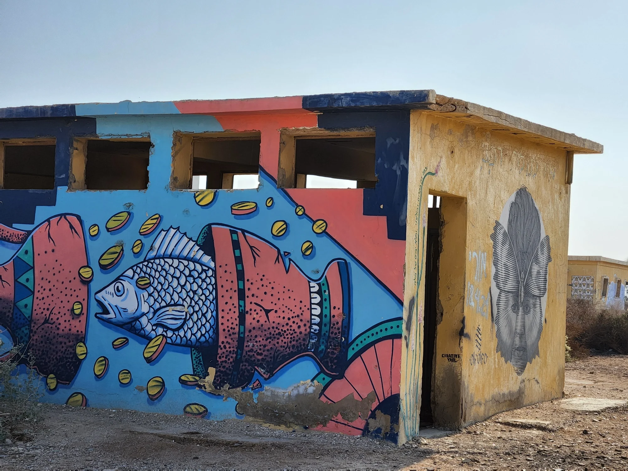 גלריה מינוס 430