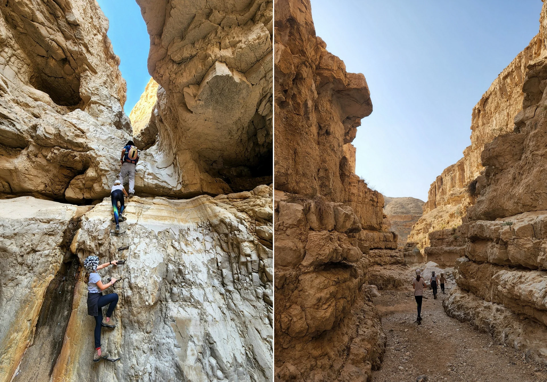 סולמות ונקיקים בנחל אוג. צילום: רינת שוורץ